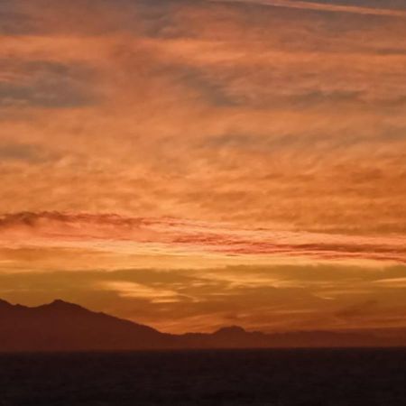Seashell Piombino Apartman Kültér fotó